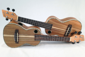 ukulele lessons inner west sydney